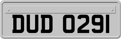 DUD0291
