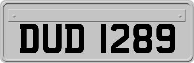 DUD1289