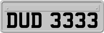 DUD3333