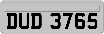 DUD3765
