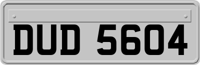 DUD5604