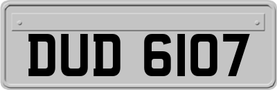 DUD6107
