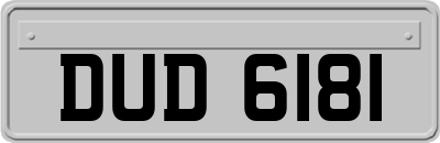 DUD6181