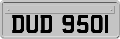 DUD9501