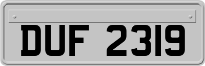 DUF2319