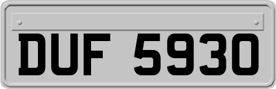 DUF5930