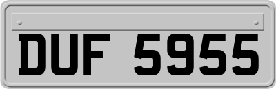 DUF5955