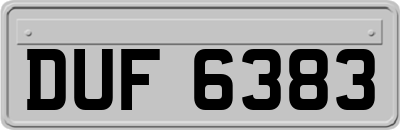 DUF6383