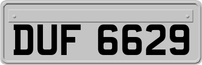 DUF6629