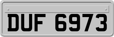 DUF6973