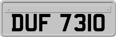 DUF7310