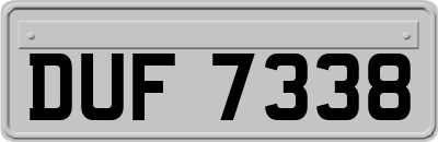 DUF7338