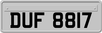 DUF8817