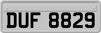 DUF8829