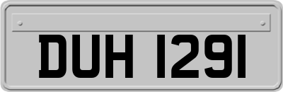 DUH1291