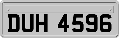 DUH4596