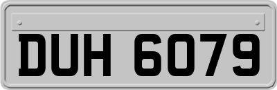 DUH6079