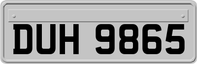 DUH9865