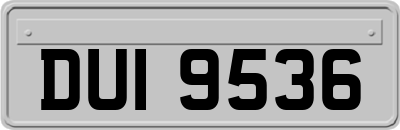 DUI9536