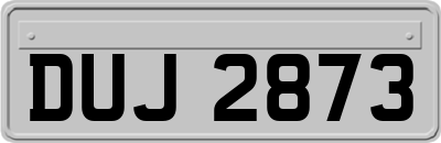 DUJ2873