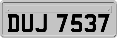 DUJ7537