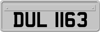 DUL1163