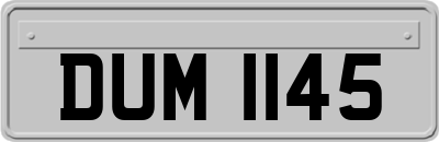 DUM1145