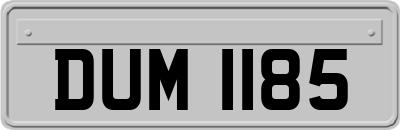 DUM1185