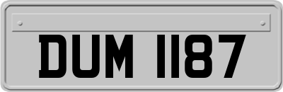 DUM1187