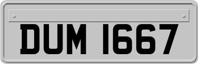 DUM1667