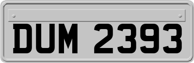 DUM2393