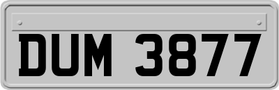 DUM3877