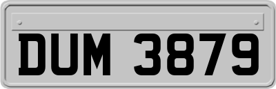 DUM3879