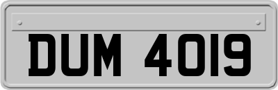 DUM4019