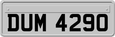 DUM4290