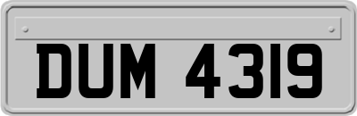 DUM4319