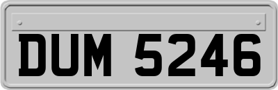 DUM5246