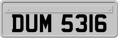 DUM5316