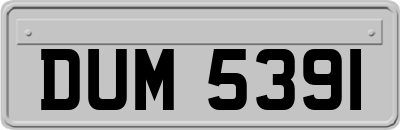 DUM5391
