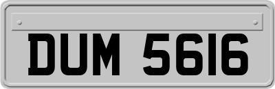 DUM5616