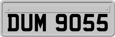 DUM9055