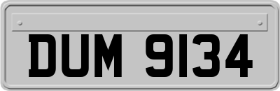 DUM9134