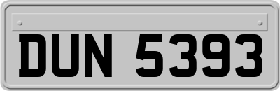 DUN5393