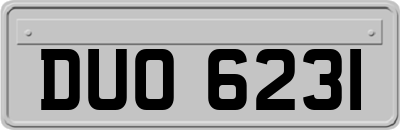 DUO6231