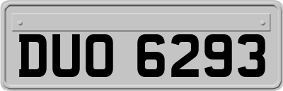 DUO6293