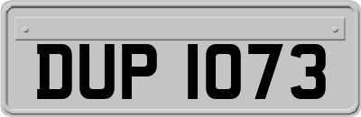 DUP1073