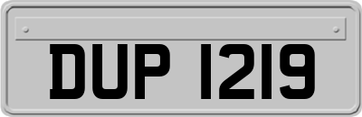 DUP1219
