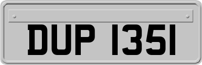 DUP1351