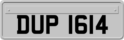 DUP1614