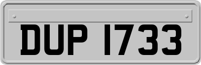 DUP1733